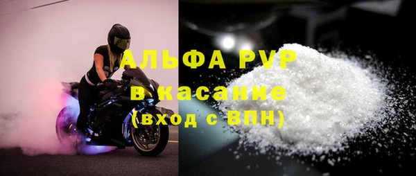 твердый Новодвинск