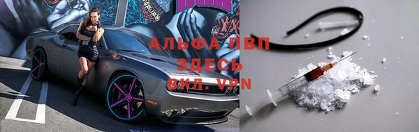 СК Нефтегорск