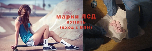 твердый Новодвинск