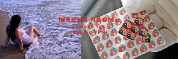 твердый Новодвинск