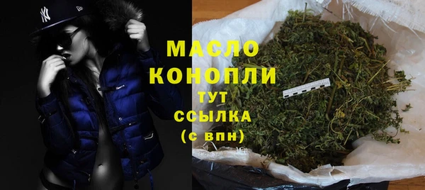 твердый Новодвинск