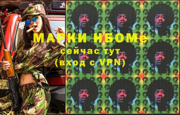 твердый Новодвинск